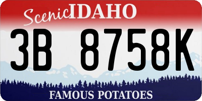 ID license plate 3B8758K