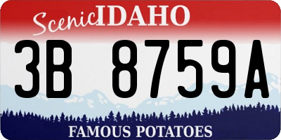 ID license plate 3B8759A