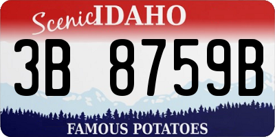 ID license plate 3B8759B
