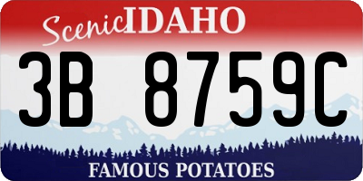 ID license plate 3B8759C