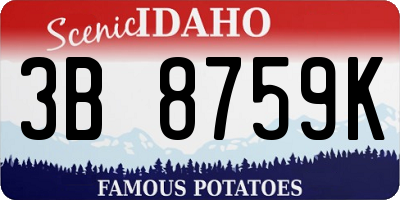 ID license plate 3B8759K