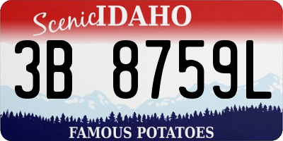 ID license plate 3B8759L