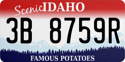 ID license plate 3B8759R