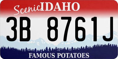 ID license plate 3B8761J