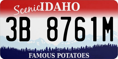 ID license plate 3B8761M