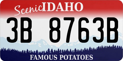 ID license plate 3B8763B