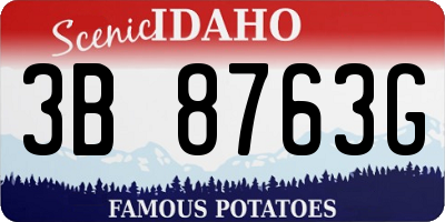 ID license plate 3B8763G