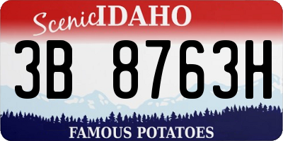 ID license plate 3B8763H