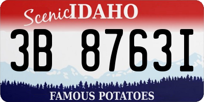 ID license plate 3B8763I