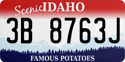 ID license plate 3B8763J