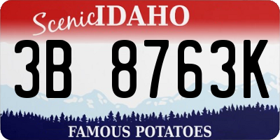 ID license plate 3B8763K