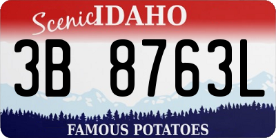 ID license plate 3B8763L