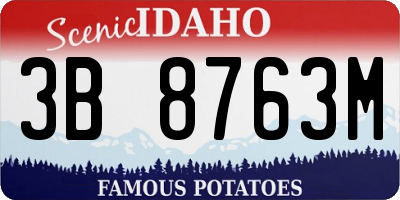 ID license plate 3B8763M