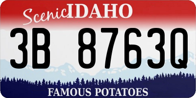 ID license plate 3B8763Q