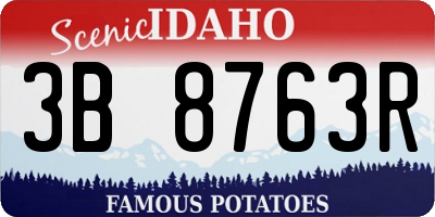 ID license plate 3B8763R