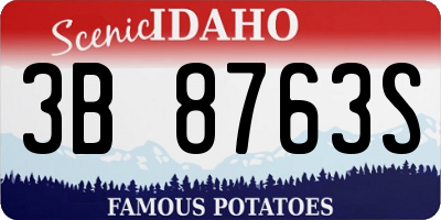 ID license plate 3B8763S
