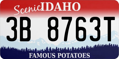 ID license plate 3B8763T