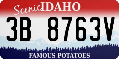 ID license plate 3B8763V