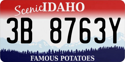 ID license plate 3B8763Y