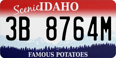 ID license plate 3B8764M