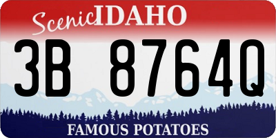 ID license plate 3B8764Q
