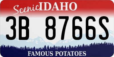 ID license plate 3B8766S
