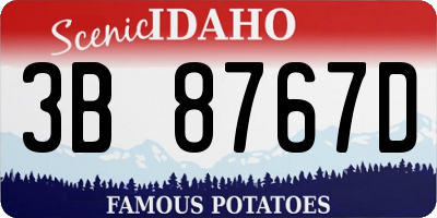 ID license plate 3B8767D