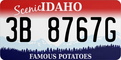 ID license plate 3B8767G