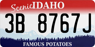 ID license plate 3B8767J