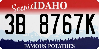 ID license plate 3B8767K