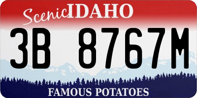 ID license plate 3B8767M