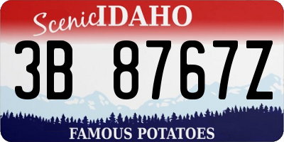 ID license plate 3B8767Z