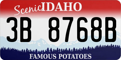 ID license plate 3B8768B