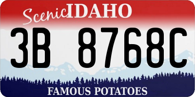 ID license plate 3B8768C