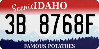 ID license plate 3B8768F