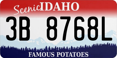 ID license plate 3B8768L