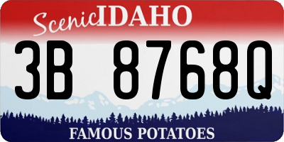ID license plate 3B8768Q