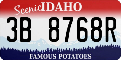 ID license plate 3B8768R