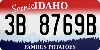 ID license plate 3B8769B