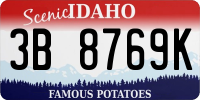 ID license plate 3B8769K