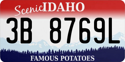 ID license plate 3B8769L