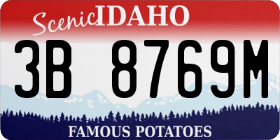 ID license plate 3B8769M