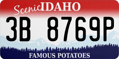 ID license plate 3B8769P