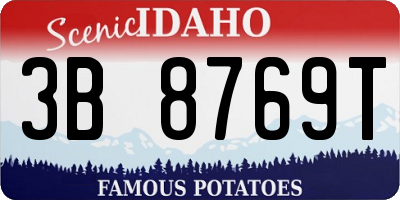 ID license plate 3B8769T