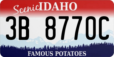 ID license plate 3B8770C
