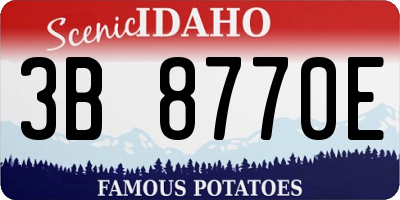 ID license plate 3B8770E