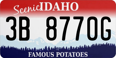 ID license plate 3B8770G