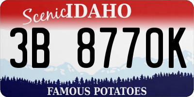 ID license plate 3B8770K