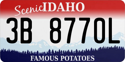 ID license plate 3B8770L