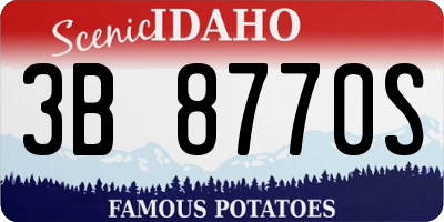 ID license plate 3B8770S